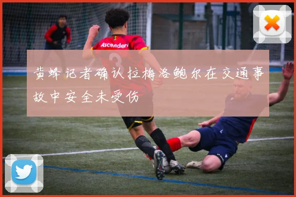 黄蜂记者确认拉梅洛鲍尔在交通事故中安全未受伤