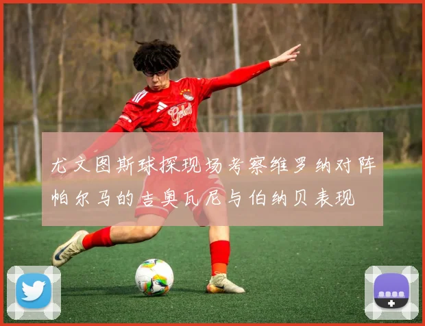 尤文图斯球探现场考察维罗纳对阵帕尔马的吉奥瓦尼与伯纳贝表现