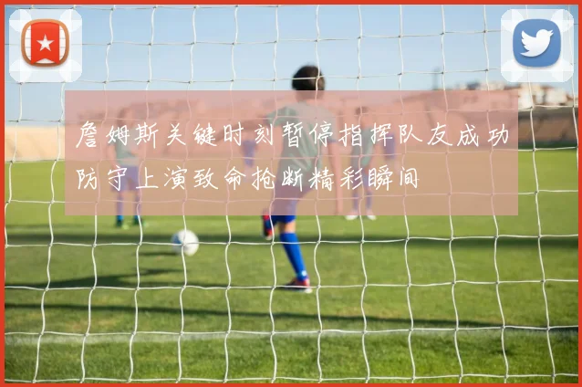 詹姆斯关键时刻暂停指挥队友成功防守上演致命抢断精彩瞬间