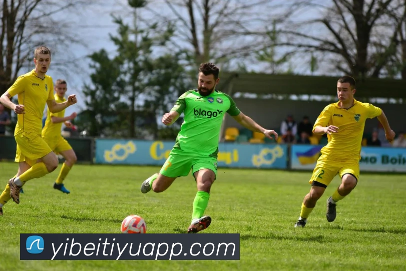 易倍体育APP 封面图